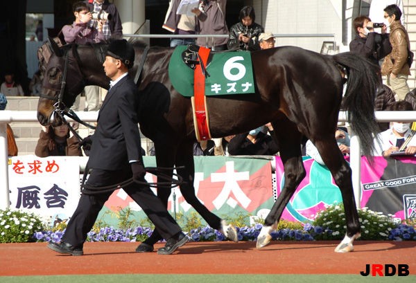 血統＆馬体講座】キズナ-毎日杯・G3 : 競馬を100倍楽しむ方法