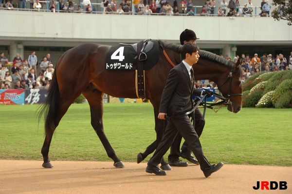 血統 馬体講座 トゥザワールド 黄菊賞 競馬を100倍楽しむ方法 Jrdb ブログ