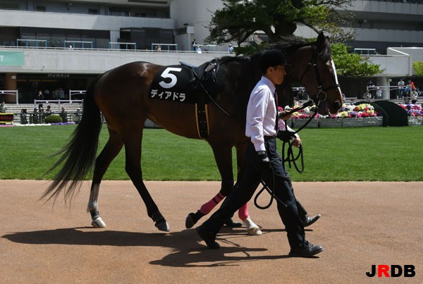 血統 馬体講座 ディアドラ 矢車賞 競馬を100倍楽しむ方法 Jrdb ブログ