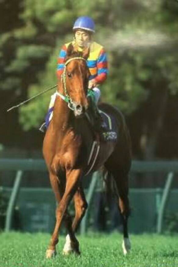 かっこいい馬の画像くれ 競馬必勝ch