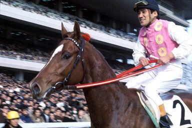 三大イケメン名馬 トウカイテイオー テンポイントあと1頭は 日本馬限定 競馬必勝ch