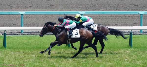 データ分析 凡走値 最内枠のブリンカー装着馬 競馬ビッグデータ