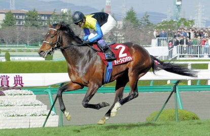 カッコいい馬名 名づけの理由とは 競馬 ウマ女によるウマい話