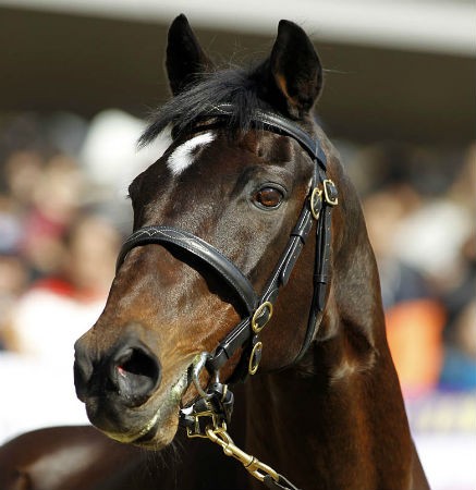 シンボリルドルフの伝説 ウマ娘達の歴史 9 ウマ女によるウマい話