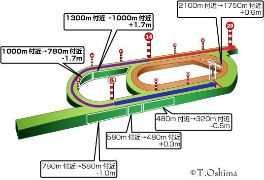 競馬場】新潟芝外2000m : ストライド競馬 - 展開予想・外厩 -