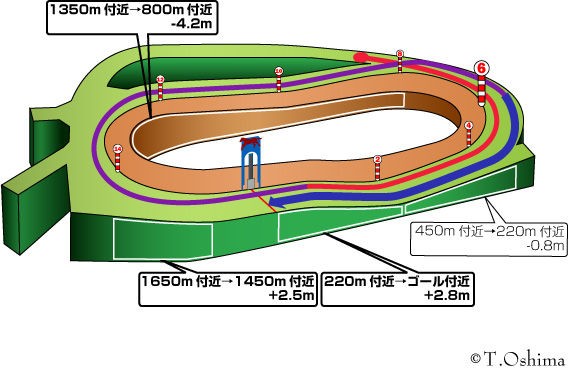 競馬場 中山芝内2500m ストライド競馬 展開予想 外厩