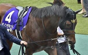 ダノンザキッド 毎日王冠 ゲートを飛び出して外枠発走も3着 競馬ファンのこえ