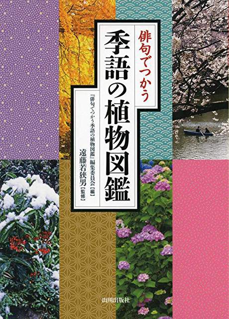 夏井いつきさんが ゆうゆう で お気に入りの歳時記は 俳句でつかう 季語の植物図鑑 と推薦してくださっています Welcome To Graceland Keigo Kageyama S Label