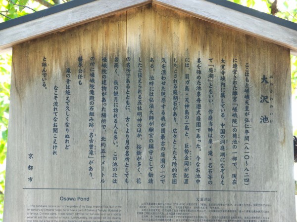 大覚寺 大沢池の蓮 : 散策日記 主に京都 四季の彩り雅やかに
