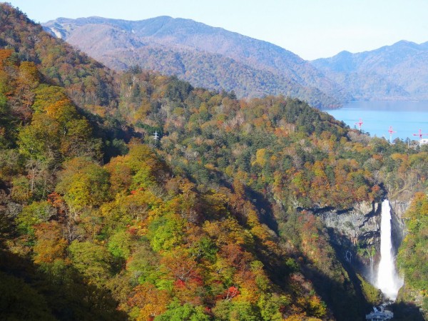 奥日光の紅葉名所巡りへ ２０１８ 明智平展望台から華厳の滝を眺める 夢は枯れ野を