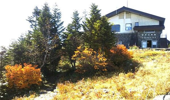 志賀高原 岩菅山の登山 ２ 紅葉速報 東館山ゴンドラリフト山頂駅から寺子屋山 岩菅山への登山 長野県山ノ内町 遊々 湯ったり ぶらり旅 ゆゆぶ