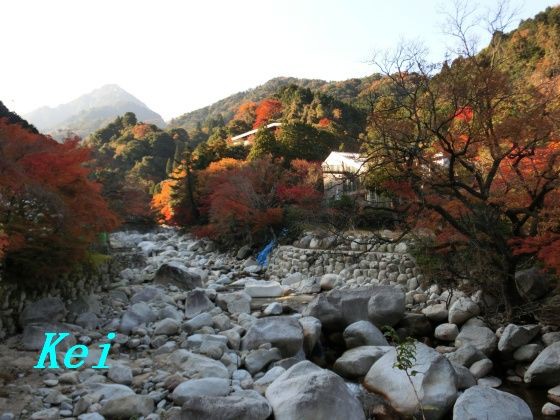 三重県 湯の山温泉の紅葉 ７ 三滝川と紅葉と野猿 国民宿舎 湯の山ロッジ 三重県菰野町 遊々 湯ったり ぶらり旅 ゆゆぶ