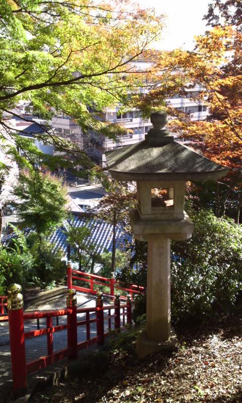 足利織姫神社(8)もみじ谷の紅葉が色付き始めです☆ 〔栃木県足利市