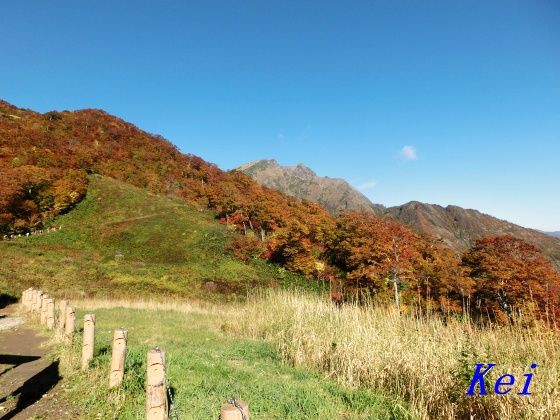 谷川岳ロープウェイ 15 天神平の紅葉とネコミミ リフトと紅葉その１ ヤマノススメ2nd 群馬県みなかみ町 遊々 湯ったり ぶらり旅 ゆゆぶ