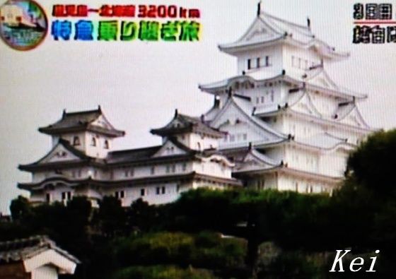 姫路城 1 大天守の内部公開は3月27日からですが外観は既に見られます 大河ドラマ館は1月10日まで 道にも猫が 兵庫県姫路市 遊々 湯ったり ぶらり旅 ゆゆぶ