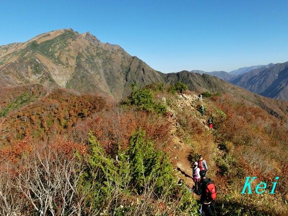 谷川岳登山(2)猫耳△△紅葉の登山道〔群馬県みなかみ町〕 : ゆる山☆湯