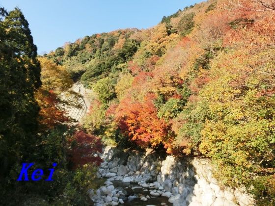 三重県 湯の山温泉の紅葉 ６ 三滝川と紅葉 三重県菰野町 遊々 湯ったり ぶらり旅 ゆゆぶ