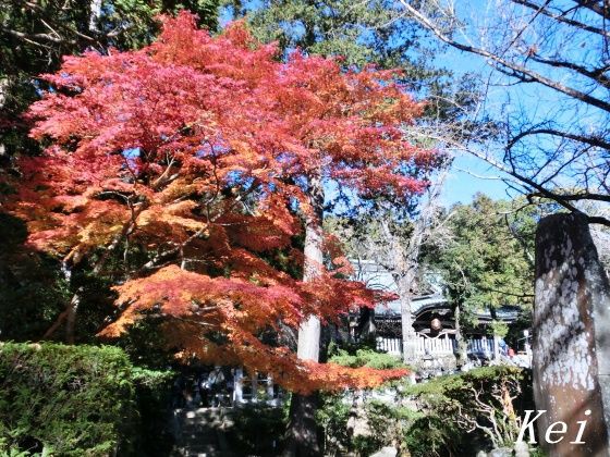 筑波山 18 筑波山神社の紅葉 筑波山温泉 筑波山もみじまつり 茨城県つくば市 遊々 湯ったり ぶらり旅 ゆゆぶ