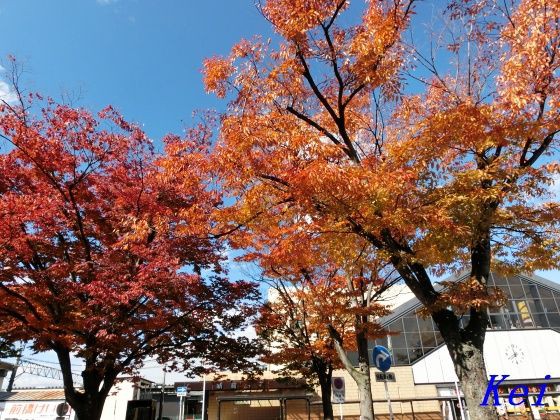 群馬県 小野上温泉さちのゆ 1 新前橋駅の紅葉と吾妻線車窓風景 群馬県前橋市 渋川市 紅葉時期が終わる頃に特集する旅番組の事情 遊々 湯ったり ぶらり旅 ゆゆぶ