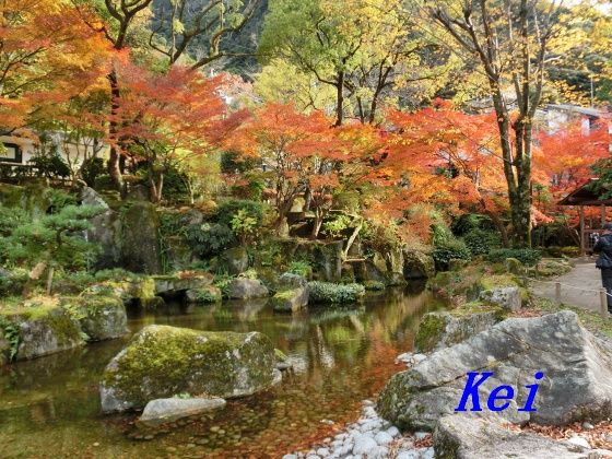 岐阜公園 岐阜城 ４ 岐阜公園のモミジの紅葉 岐阜県岐阜市 遊々 湯ったり ぶらり旅 ゆゆぶ