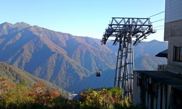 谷川岳ロープウェイ 9 速報 紅葉と猫耳 ロープウェイの紅葉はお昼頃が見頃 群馬県みなかみ町 遊々 湯ったり ぶらり旅 ゆゆぶ