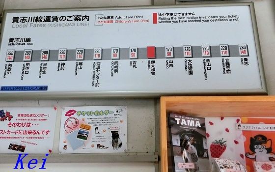 わかやま電鉄貴志川線 7 伊太祁曽駅とニタマ駅長 貴志川線もう１人の猫駅長 和歌山県和歌山市 遊々 湯ったり ぶらり旅 ゆゆぶ