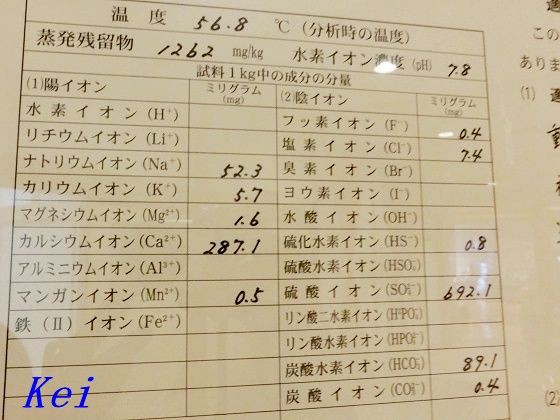 山形県 白布温泉 白布森の館 日帰り温泉 2 白布温泉の泉質 雪道を降りて西屋さんへ 山形県米沢市 遊々 湯ったり ぶらり旅 ゆゆぶ