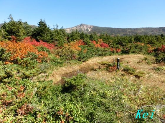 蔵王 ユートピアリフト 観松平 黒姫山 4 ひょうたん沼と松 山形県山形市 遊々 湯ったり ぶらり旅 ゆゆぶ