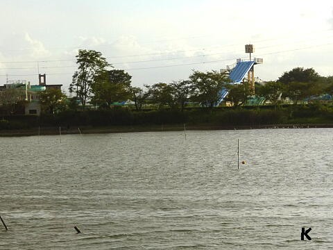 砂沼公園 １ 砂沼と虹 茨城県下妻市 遊々 湯ったり ぶらり旅 ゆゆぶ