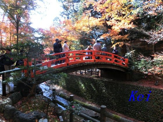 紅葉の京都 北野天満宮 ４ 御土居もみじ苑 鶯橋周辺 京都府京都市上京区 遊々 湯ったり ぶらり旅 ゆゆぶ