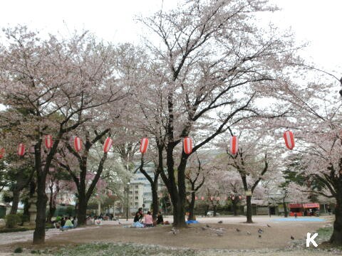 高崎城跡と高崎公園の桜 ２ たかさき春まつり 高崎つながり屋台横丁 群馬県高崎市 ゆる山 湯ったり ぶらり旅 ゆゆぶ