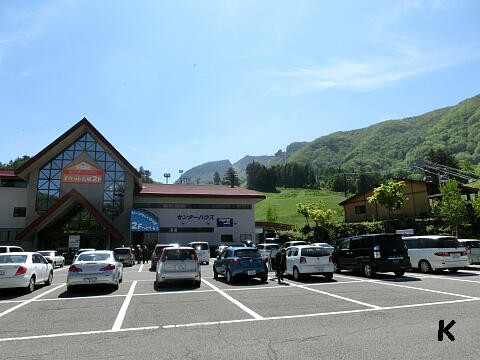 シラネアオイ開花中 日光白根山ロックガーデン 天空の足湯 群馬県利根郡片品村 遊々 湯ったり ぶらり旅 ゆゆぶ