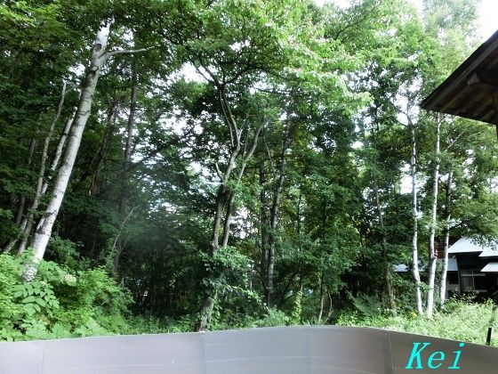 長野県 乗鞍高原温泉 白い温泉の宿 しろがね 4 露天風呂と泉質 お部屋からの眺め 長野県松本市 遊々 湯ったり ぶらり旅 ゆゆぶ