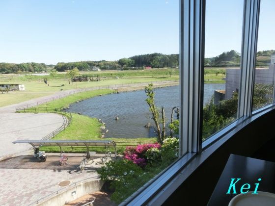 茨城県 ほっとパーク鉾田 ほこた 3 日帰り温泉施設 館内レストランで 釜揚げしらすネギトロ二色丼 茨城県鉾田市 遊々 湯ったり ぶらり旅 ゆゆぶ