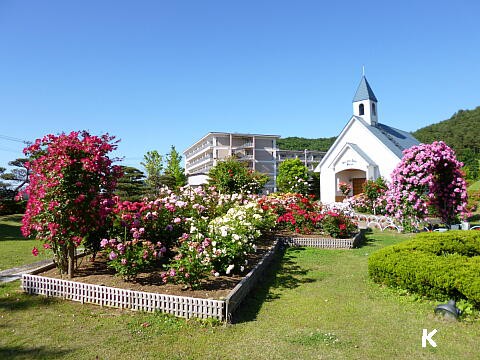 つなぎ温泉 １ ホテル紫苑 の教会とバラ園 岩手県盛岡市 遊々 湯ったり ぶらり旅 ゆゆぶ