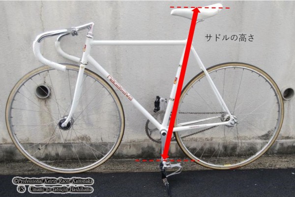 NHKマイルカップの自転車的回顧 : 「現役競輪選手」垣外中勝哉 VS 