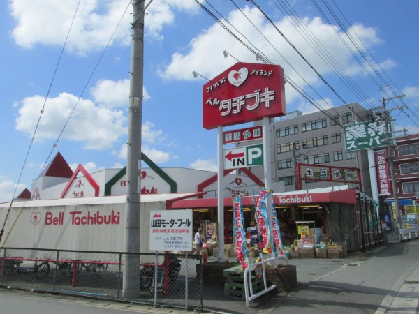 堀北さん 三田市キッピースタジアムデテールです トラさんの純真