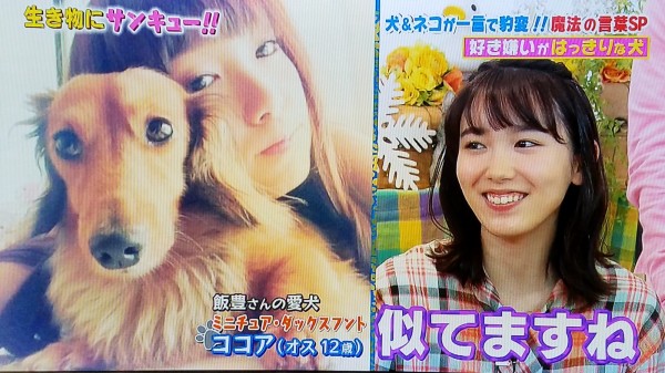 堀北さんと違って飯豊まりえは犬の化身だったらどうしよう トラさんの純真