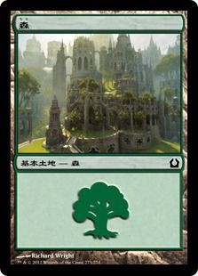 あふれる土地カードをどうする？ : 日々、ゴルガリ