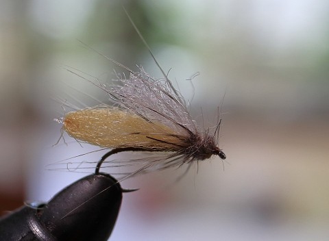 年越山女魚 ３ フライマンの詩