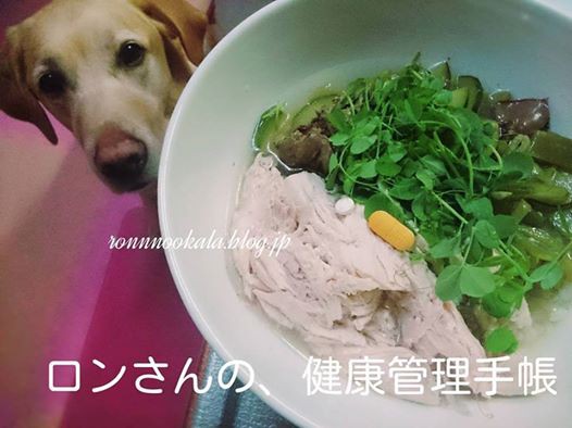 わんこだって 普段着 今日の犬ごはん 大型犬の大雑把ごはん ロンさんの 健康管理手帳