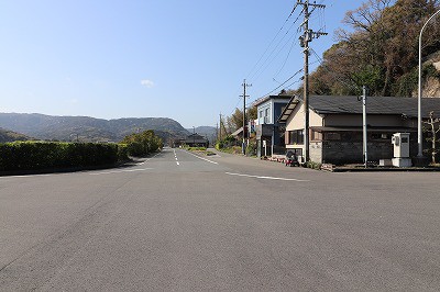 内田式琵琶立見台