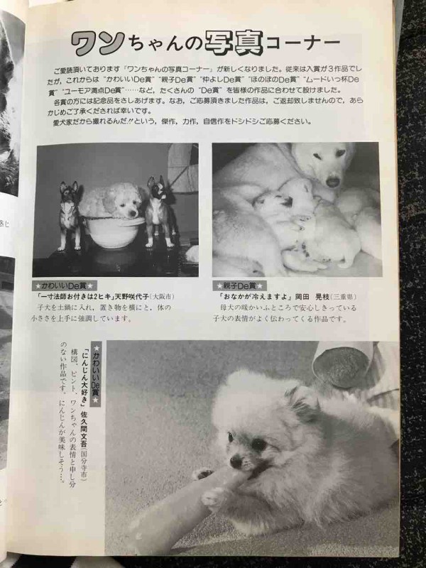 愛犬の友（1987年）☆ : Day by Day ~紀州犬犬舎 健悠庵のブログ~