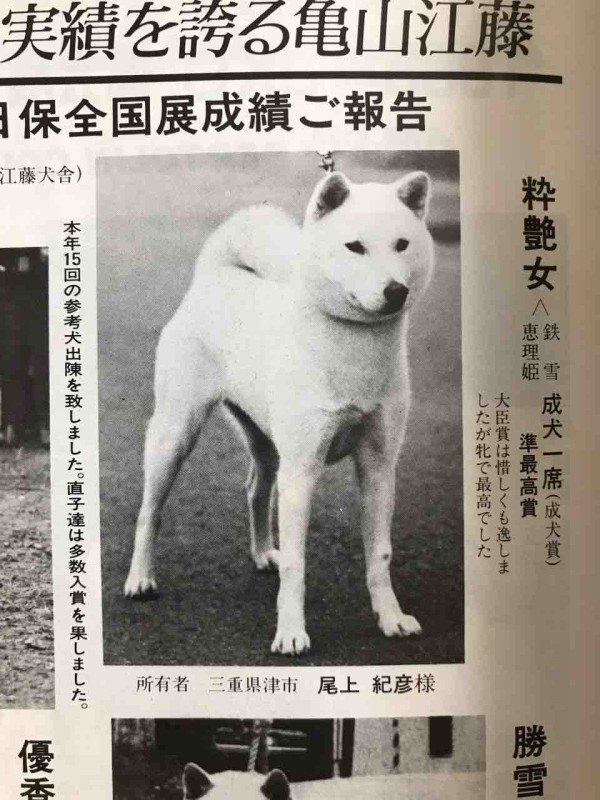 愛犬の友（1987年）☆ : Day by Day ~紀州犬犬舎 健悠庵のブログ~