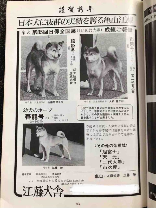 愛犬の友（1987年）☆ : Day by Day ~紀州犬犬舎 健悠庵のブログ~