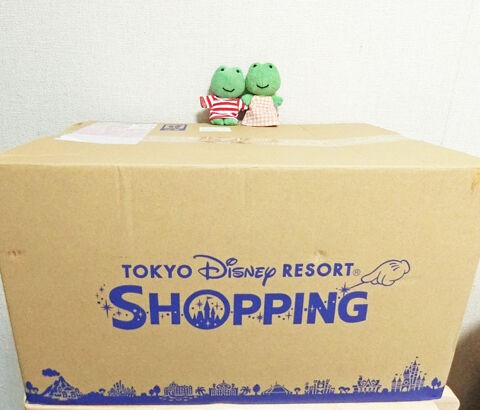 ディズニーさんからお荷物ついた けろちゃん ころちゃん