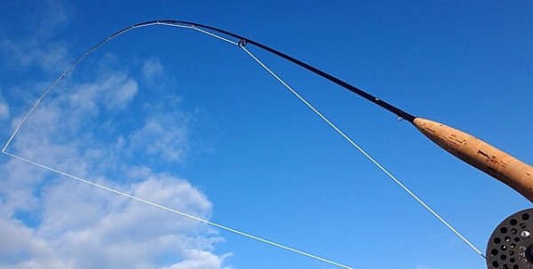 Orvis Seven/Eleven を入手 ＃ ◯◯◯てよかった♪ : Key Taccata's FF