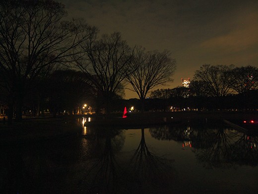 とある街の風景232 あの事件以来の代々木公園の夜 東京坂道さんぽ