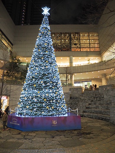 とある街の風景258 東京オペラシティーのクリスマスツリーイルミと階段 東京坂道さんぽ
