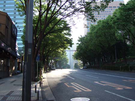 とある街の風景122 朝の新宿副都心 東京坂道さんぽ